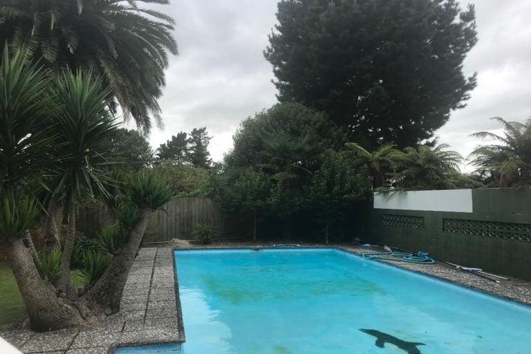 Photo of property in 44 Tomin Road, Glenview, Hamilton, 3206