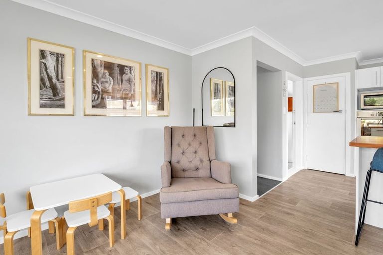 Photo of property in 17 Ferguson Street, Levin, 5510