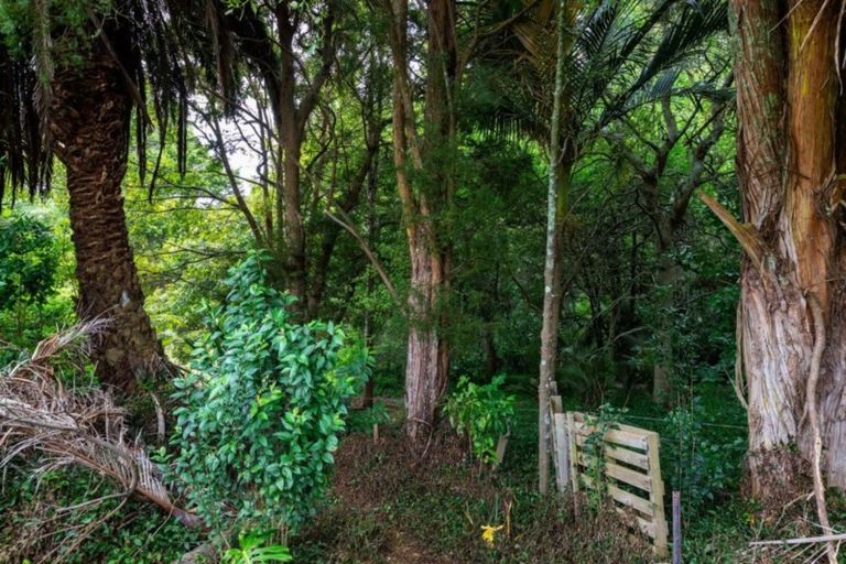 Photo of property in 16 Batten Street, Wellsford, 0900