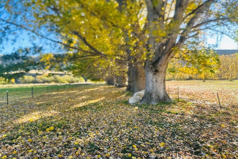 Photo of property in 779 Ardgour Road, Tarras, Cromwell, 9383