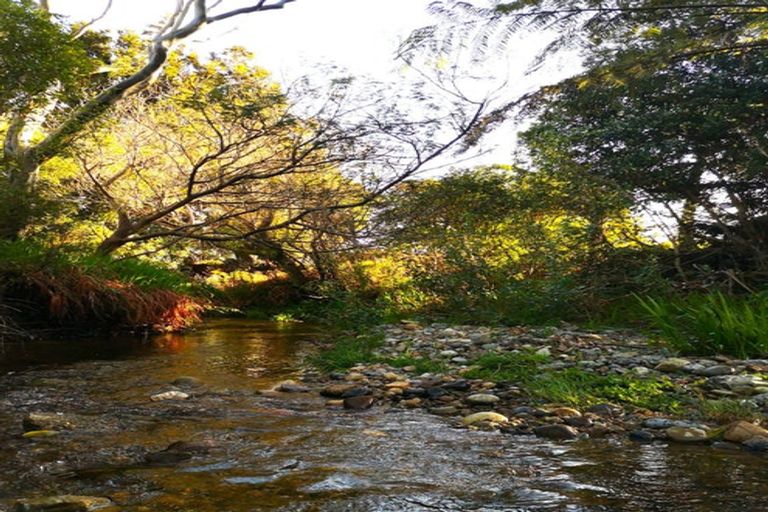 Photo of property in 9 Pakawau-bush Road, Pakawau, Collingwood, 7073