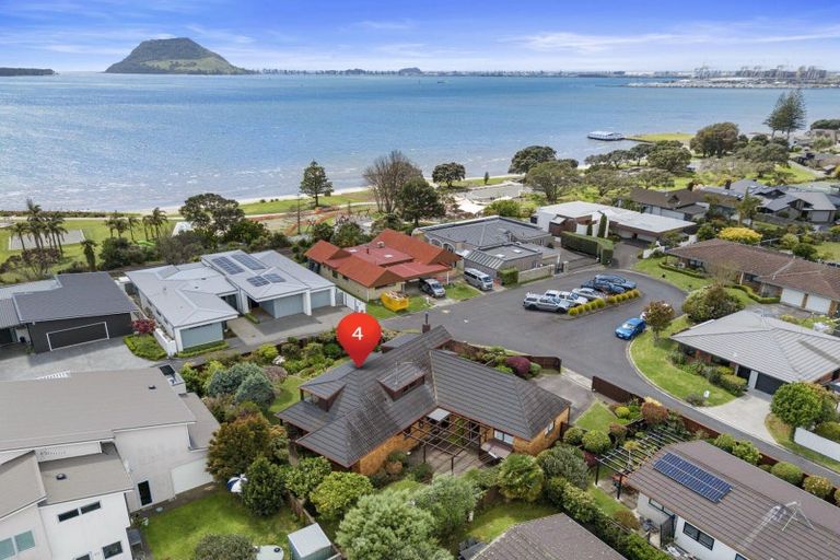 Photo of property in 4 Aylesbury Terrace, Otumoetai, Tauranga, 3110