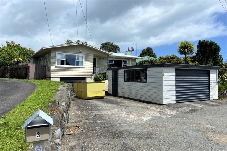 Photo of property in 3 Morgan Lane, Ferndale, New Plymouth, 4310