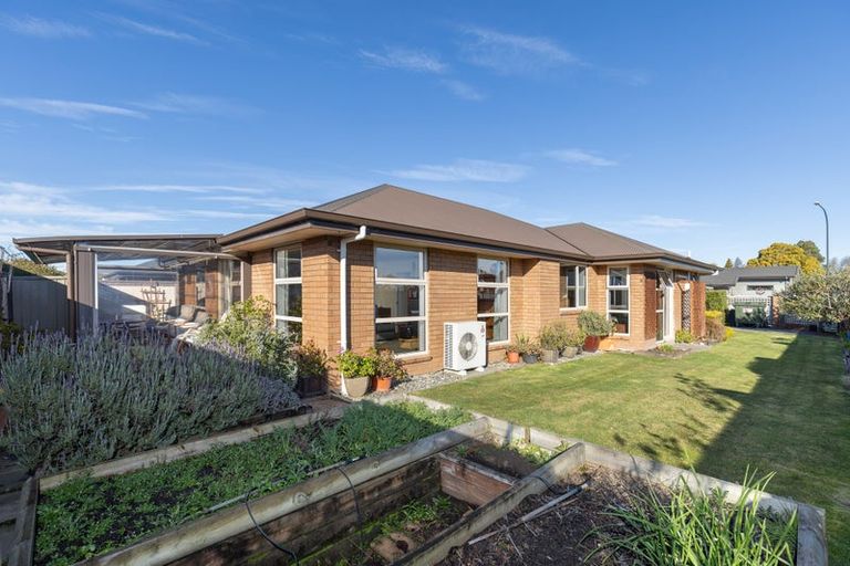 Photo of property in 24 Eginton Street, Motueka, 7120