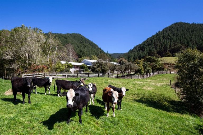 Photo of property in 312 Lud Vly Road, Hira, Nelson, 7071