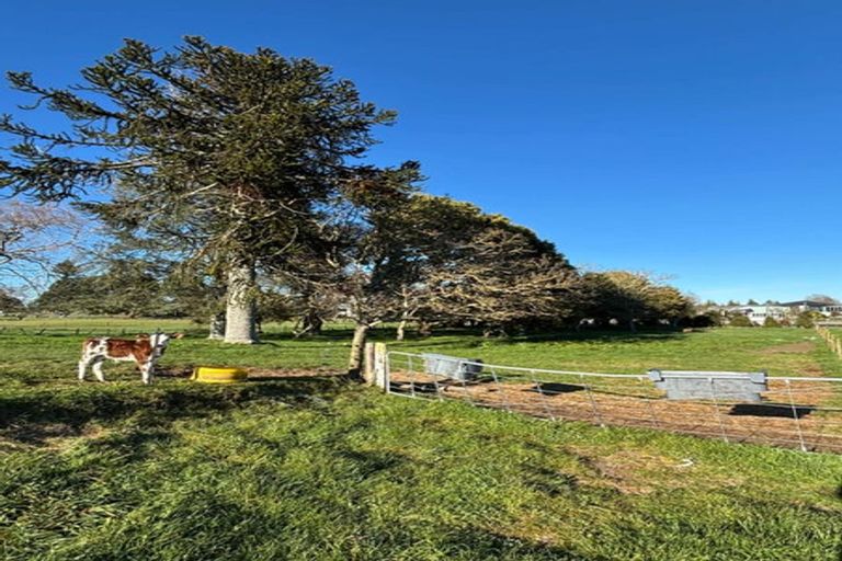 Photo of property in 30 Pellikan Place, Tokoroa, 3491