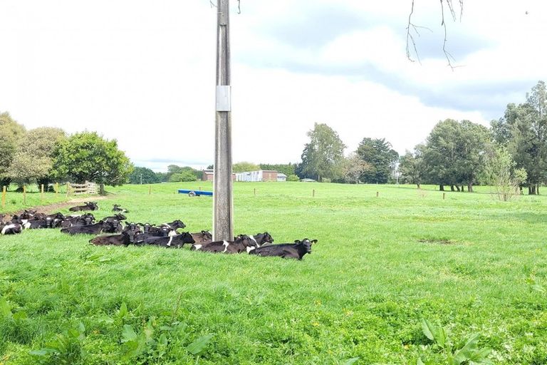 Photo of property in 3456 Cambridge Road, Cambridge, 3495