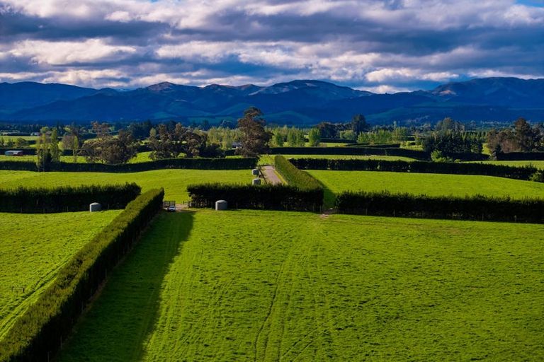 Photo of property in 105 Chapel Road, Loburn, 7472