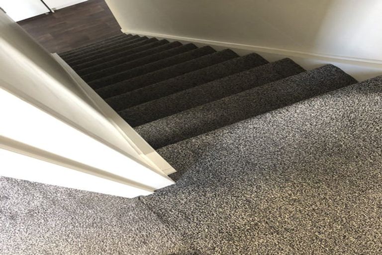 Photo of property in 15 Titan Street, North Dunedin, Dunedin, 9016