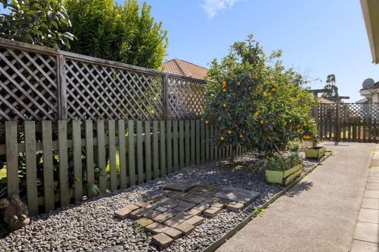 Photo of property in 33b Boucher Avenue, Te Puke, 3119