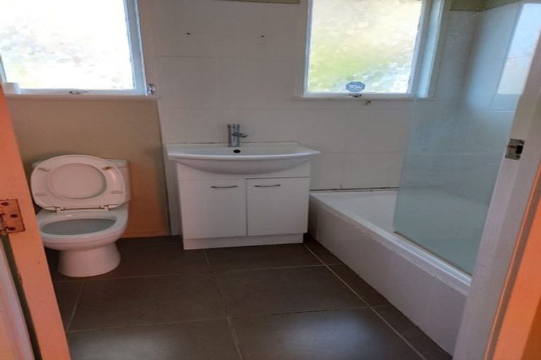 Photo of property in 47 Maple Street, Avondale, Auckland, 1026