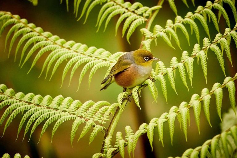 Photo of property in 34 Ngahere Street, Stokes Valley, Lower Hutt, 5019