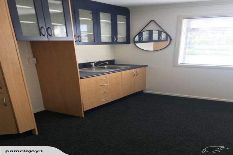 Photo of property in 54 Masters Avenue, Hillcrest, Hamilton, 3216