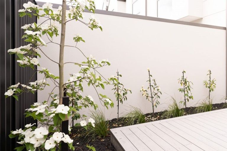 Photo of property in 1/244 Bealey Avenue, Christchurch Central, Christchurch, 8013