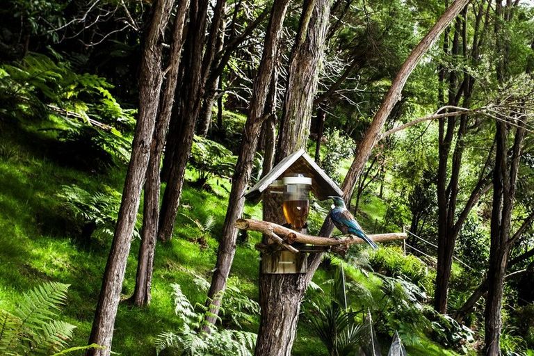 Photo of property in 65 White Horse Drive, Whakatane, 3120