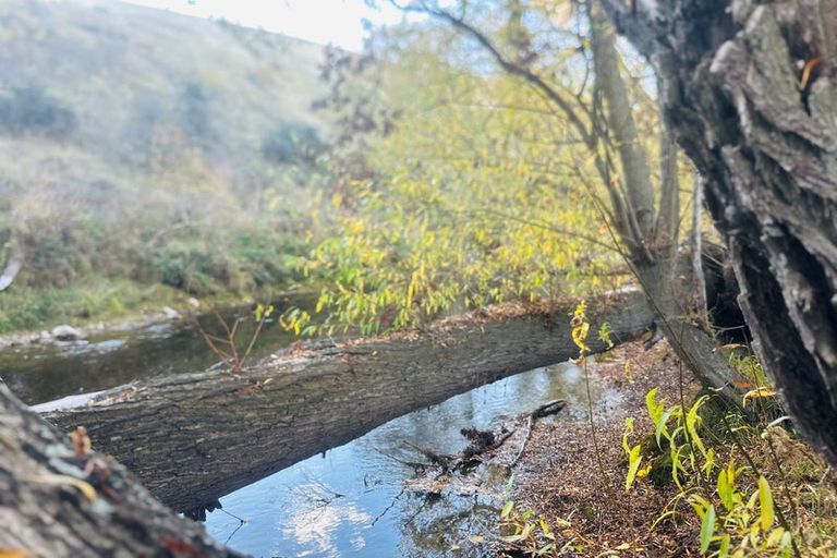 Photo of property in 779 Ardgour Road, Tarras, Cromwell, 9383