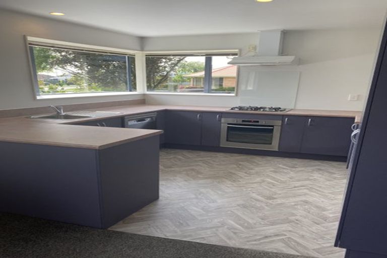 Photo of property in 17 Rubicon Place, Hei Hei, Christchurch, 8042