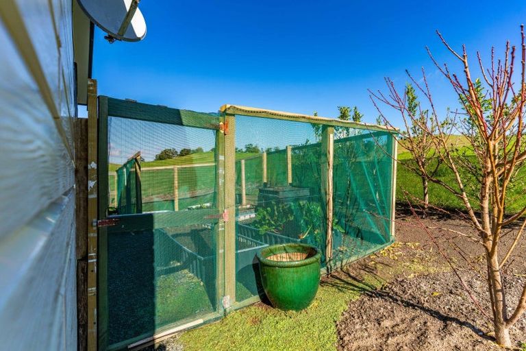 Photo of property in 264 Bee Bush Road, Arapohue, Dargaville, 0374