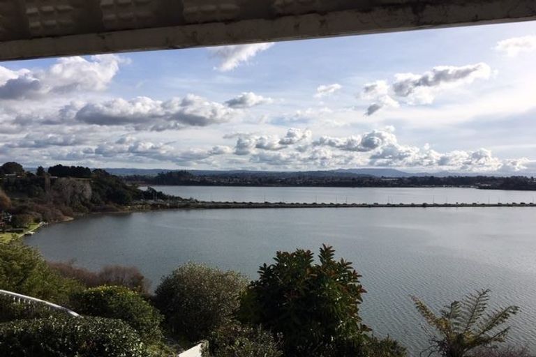 Photo of property in 63 Ririnui Place, Maungatapu, Tauranga, 3112