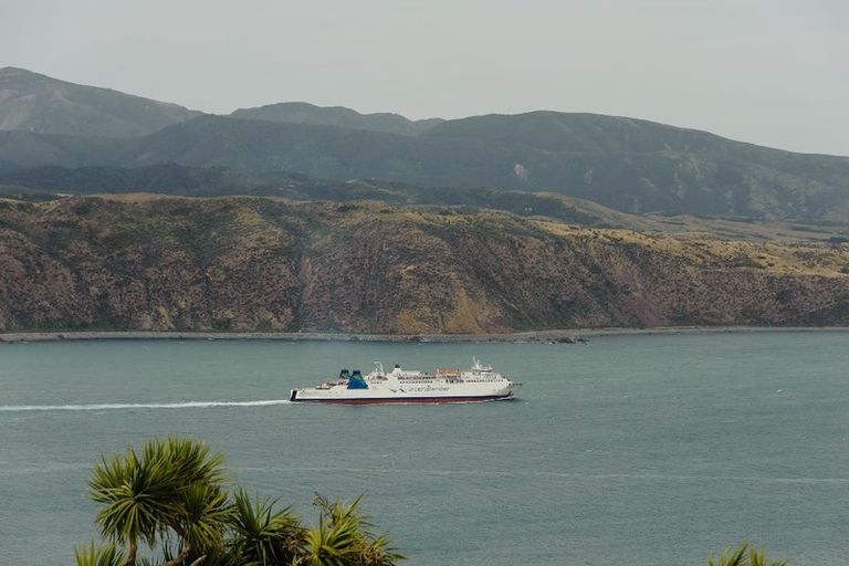 Photo of property in 12 Signallers Grove, Strathmore Park, Wellington, 6022