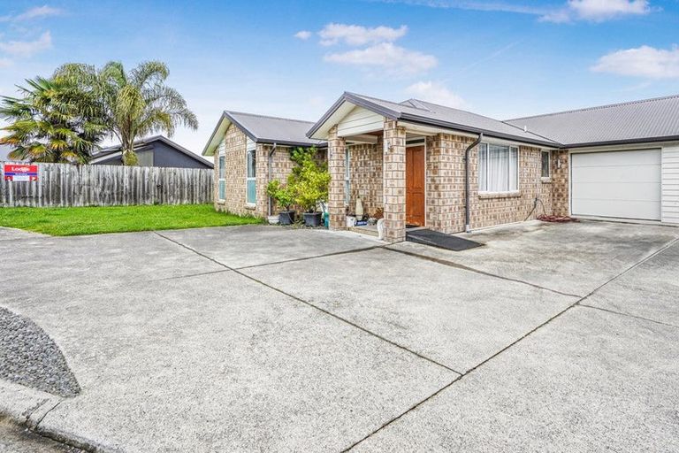 Photo of property in 17 Barwick Place, Huntington, Hamilton, 3210