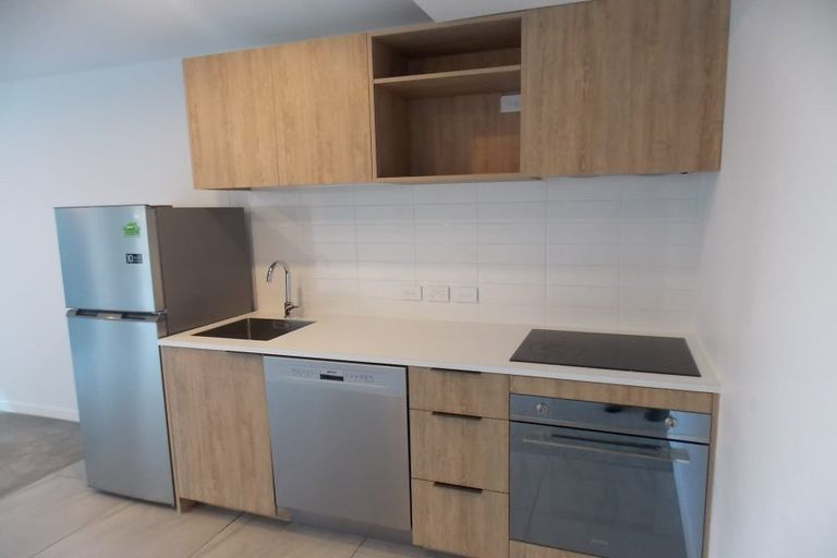 Photo of property in Pinnacle Apartments, W405/160 Victoria Street, Te Aro, Wellington, 6011