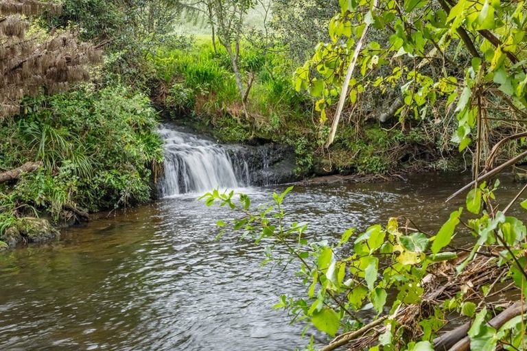 Photo of property in 36 Manutahi Road, Hillsborough, New Plymouth, 4372