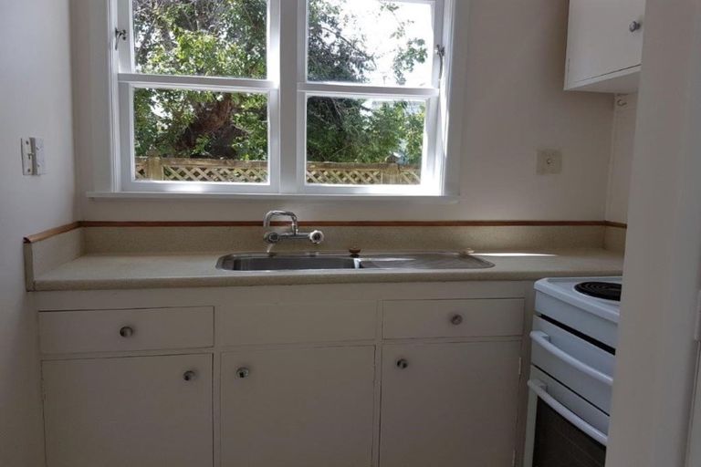 Photo of property in 117 Aro Street, Aro Valley, Wellington, 6021