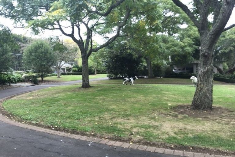 Photo of property in 120 Oakland Road, Karaka, Papakura, 2580