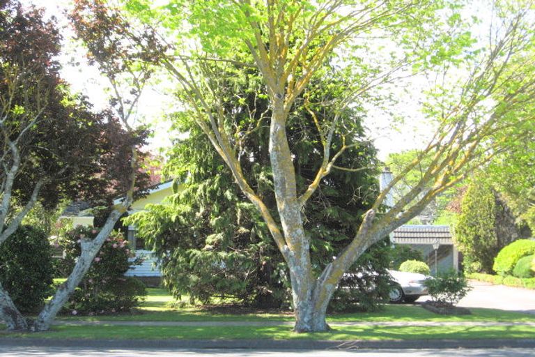 Photo of property in 182 Rutene Road, Kaiti, Gisborne, 4010