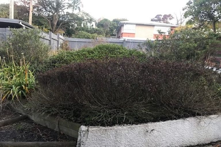 Photo of property in 39 Ventnor Street, Mornington, Dunedin, 9011