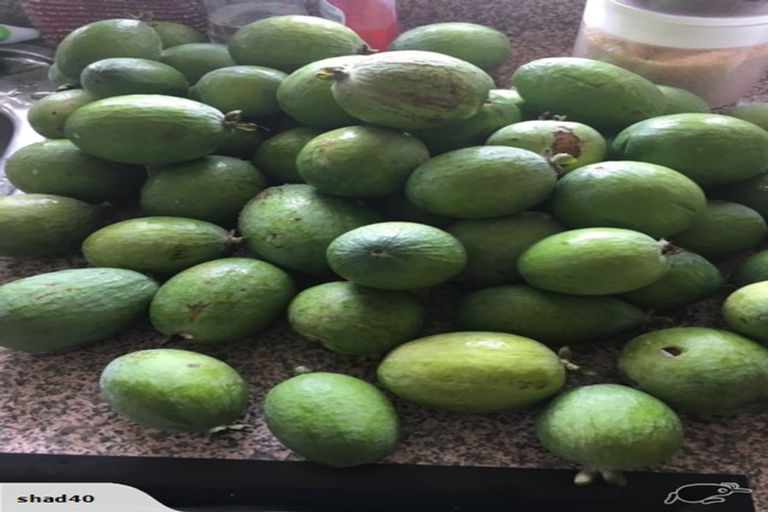 Photo of property in 70 Westhead Road, Pollok, Waiuku, 2683