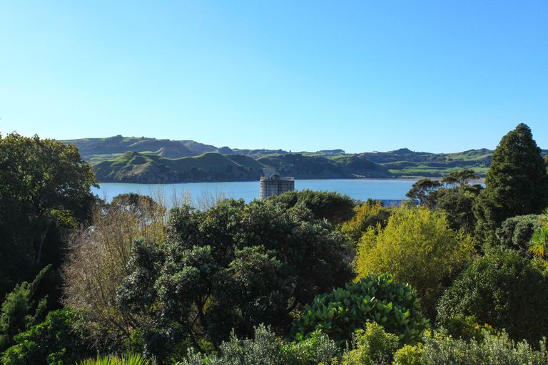 Photo of property in 18 Lily Street, Raglan, 3225