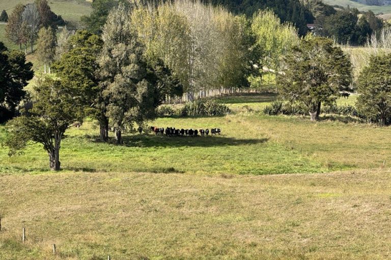 Photo of property in 967 Golden Stairs Road, Taipuha, Maungaturoto, 0589