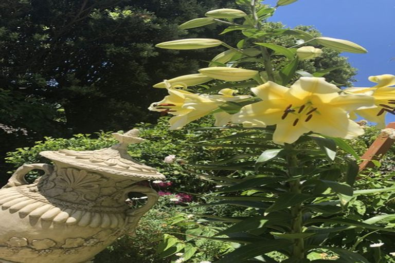 Photo of property in 5 Jefferson Street, Brooklyn, Wellington, 6021