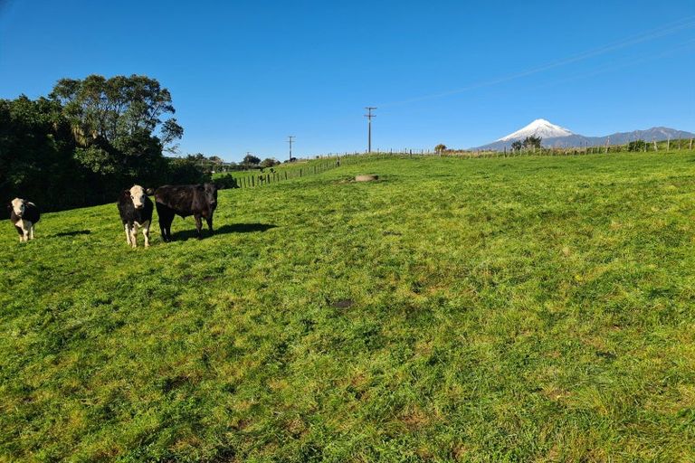 Photo of property in 568 South Road, Omata, New Plymouth, 4374