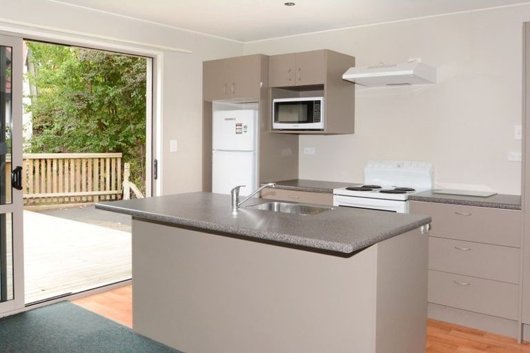 Photo of property in 45d Lees Street, Dunedin Central, Dunedin, 9016