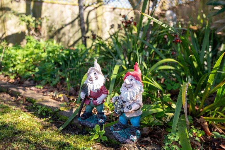 Photo of property in 11 Kahurangi Drive, Lynmore, Rotorua, 3010