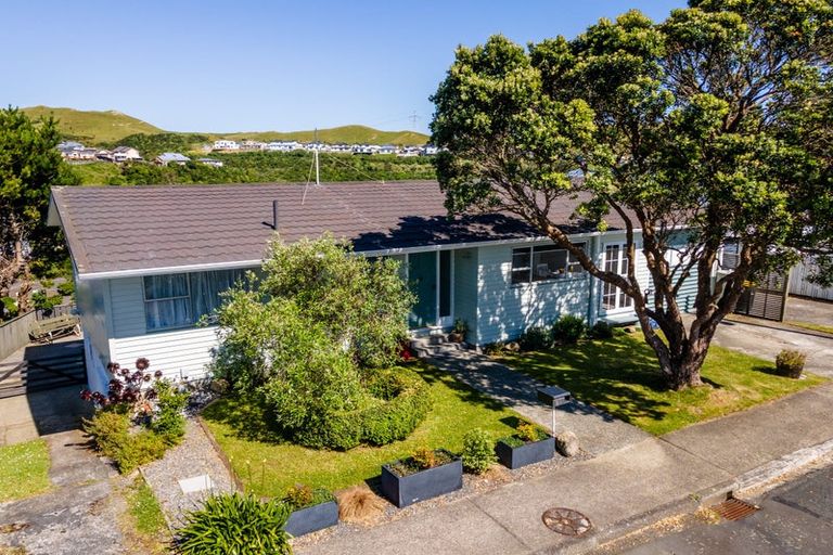 Photo of property in 24 Rossport Street, Johnsonville, Wellington, 6037
