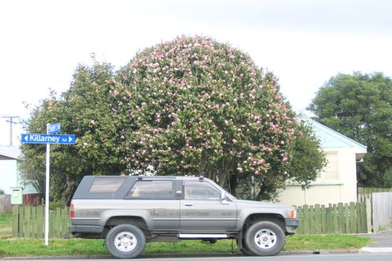 Photo of property in 117 Killarney Road, Frankton, Hamilton, 3204