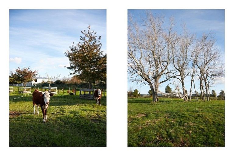 Photo of property in 1528a Pyes Pa Road, Oropi, Tauranga, 3173