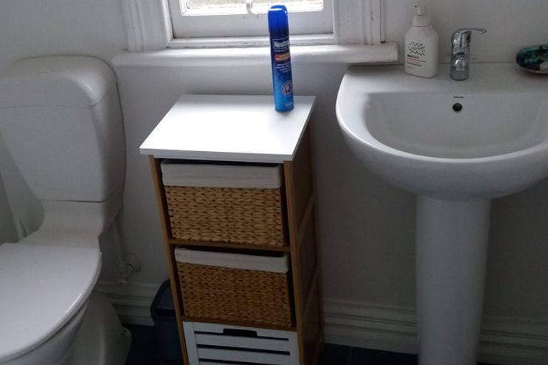 Photo of property in 65 Evans Street, Opoho, Dunedin, 9010