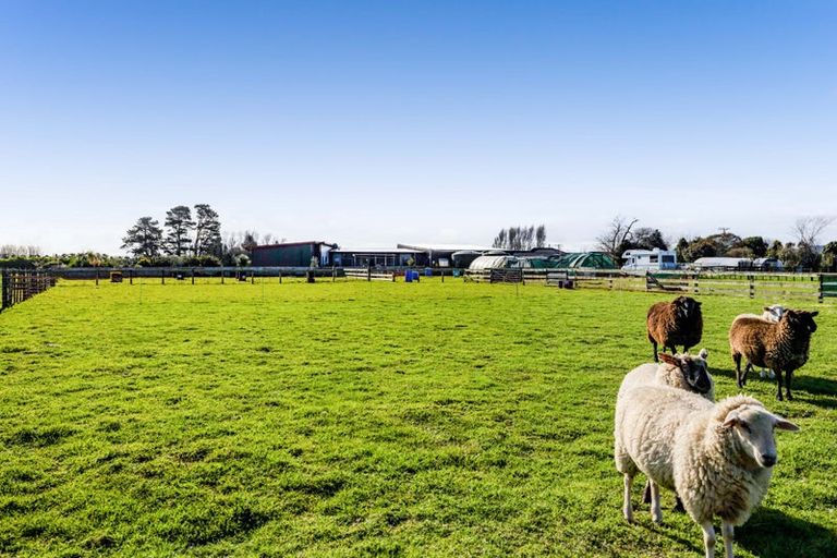 Photo of property in 280 Austin Road, Normanby, Hawera, 4673