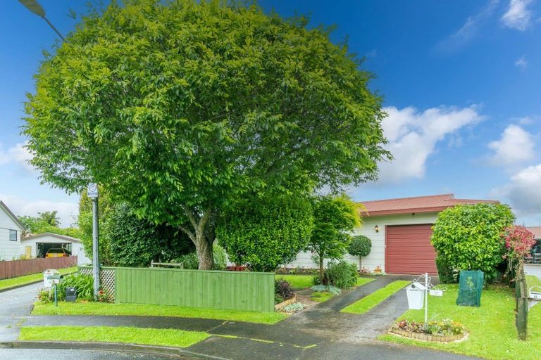 Photo of property in 17 Rigter Place, Enderley, Hamilton, 3214