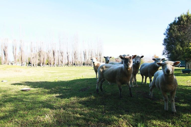 Photo of property in 24b Cameron Road, Makauri, Gisborne, 4071