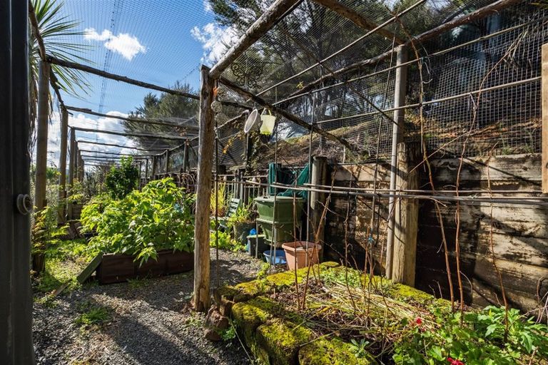 Photo of property in 362e Whananaki North Road, Opuawhanga, Hikurangi, 0181