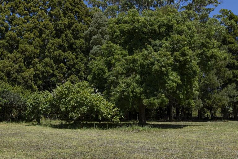 Photo of property in 41 Te Ra Road, Kaeo, Kerikeri, 0295