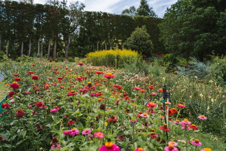 Photo of property in 259 Wainui Road South, Whakamarama, Katikati, 3181