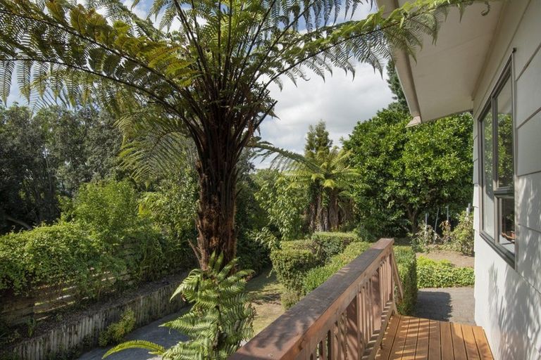 Photo of property in 16 Bellfield Place, Bethlehem, Tauranga, 3110