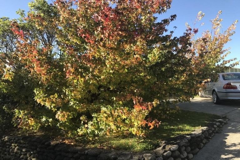 Photo of property in 32 Whitechapel Grove, Stokes Valley, Lower Hutt, 5019